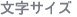 文字サイズ